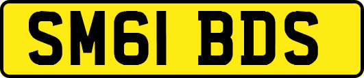 SM61BDS