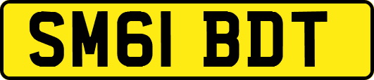 SM61BDT