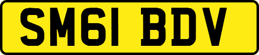 SM61BDV