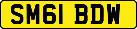SM61BDW