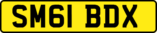 SM61BDX