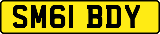 SM61BDY