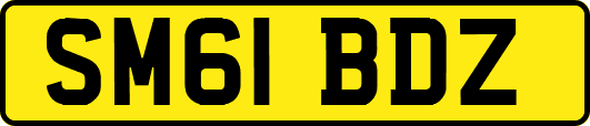 SM61BDZ