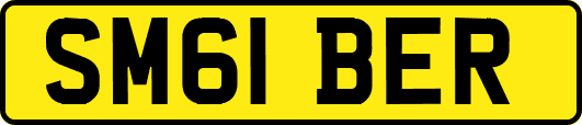 SM61BER