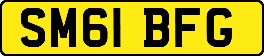 SM61BFG