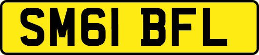 SM61BFL