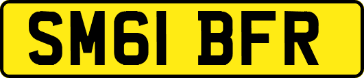 SM61BFR