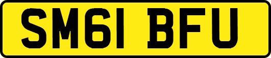 SM61BFU