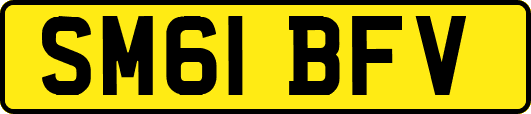 SM61BFV