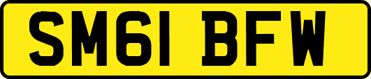 SM61BFW