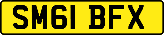 SM61BFX