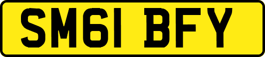 SM61BFY