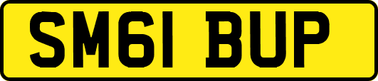 SM61BUP