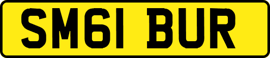 SM61BUR