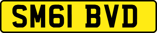 SM61BVD
