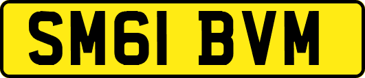 SM61BVM