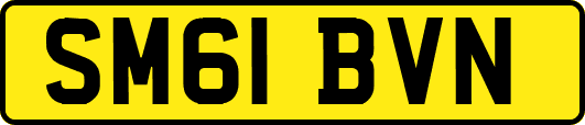 SM61BVN