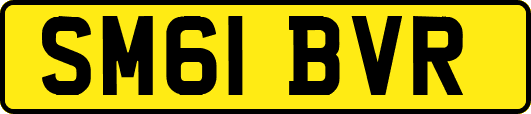 SM61BVR