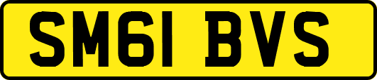 SM61BVS