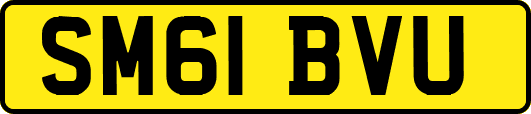 SM61BVU