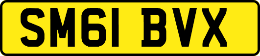 SM61BVX