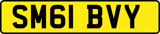 SM61BVY