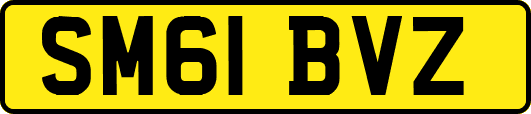 SM61BVZ