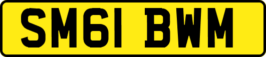 SM61BWM