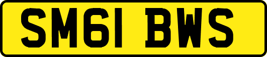 SM61BWS