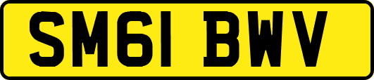 SM61BWV