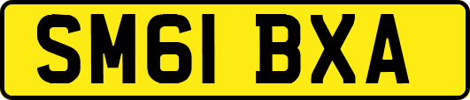 SM61BXA