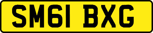 SM61BXG