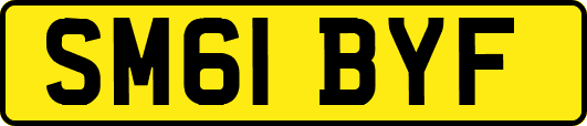 SM61BYF