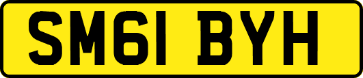 SM61BYH