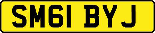 SM61BYJ