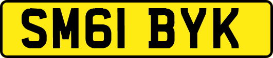 SM61BYK