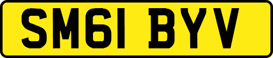 SM61BYV