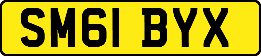 SM61BYX