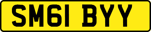 SM61BYY