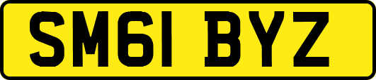 SM61BYZ