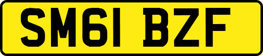 SM61BZF