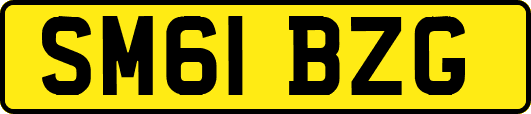 SM61BZG