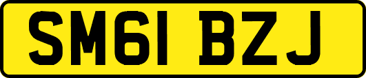 SM61BZJ