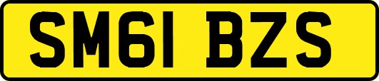 SM61BZS