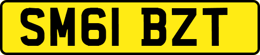 SM61BZT