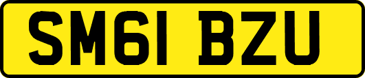 SM61BZU