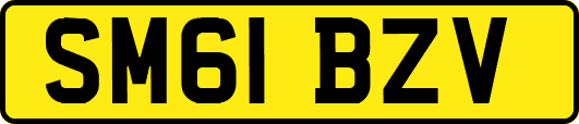 SM61BZV