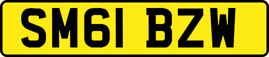 SM61BZW