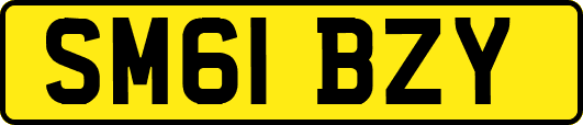 SM61BZY