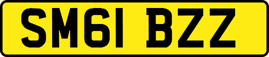 SM61BZZ